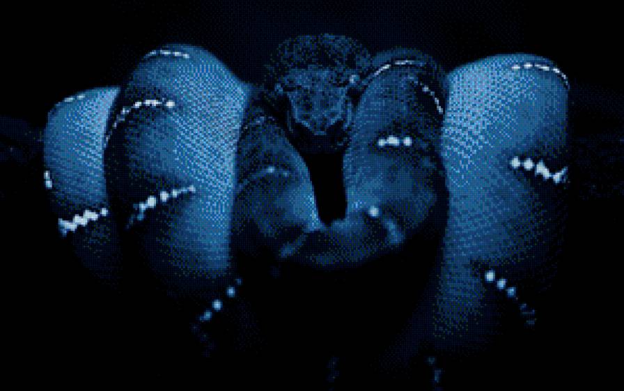 змея - предпросмотр