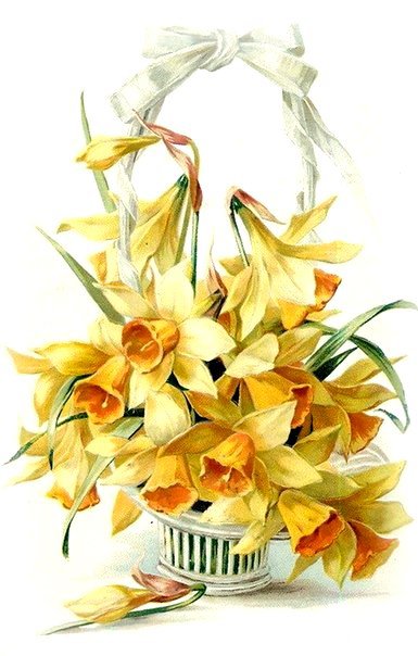 №526557 - цветы - оригинал