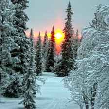 Схема вышивки «зимний лес закат»