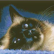 Схема вышивки «котик»