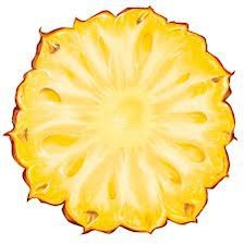 Схема вышивки «ананаик»