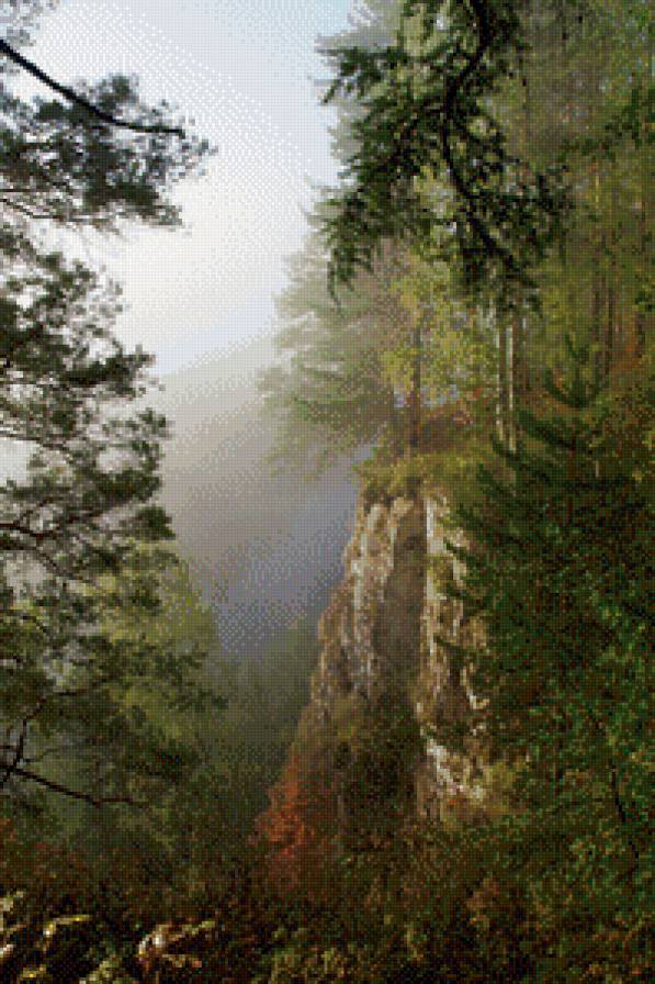 обрыв - туман, пейзаж, природа - предпросмотр