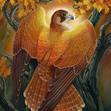 Схема вышивки «Ястреб»