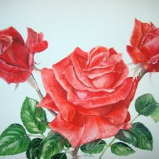 Схема вышивки «Розы»