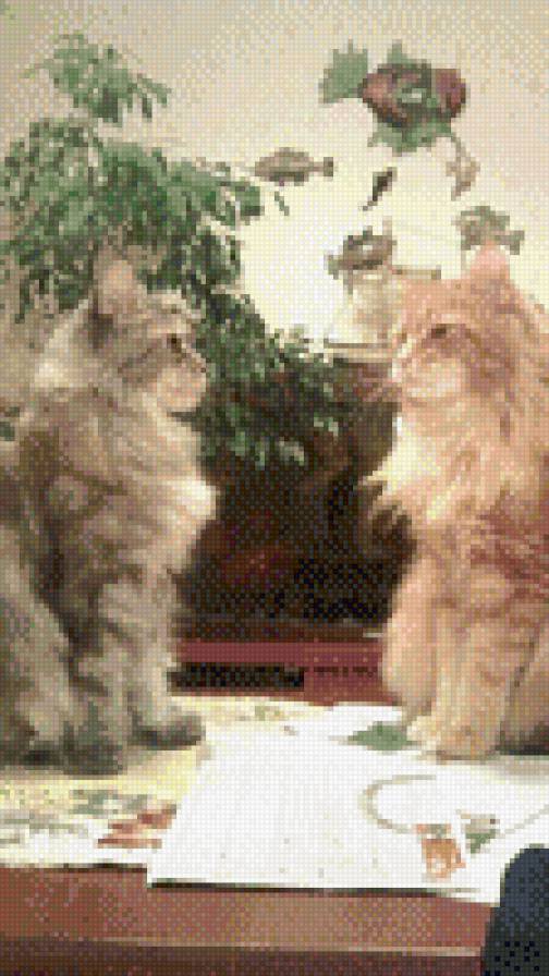 котики - предпросмотр