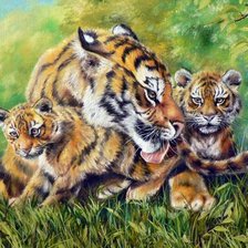 Схема вышивки «Тигры»