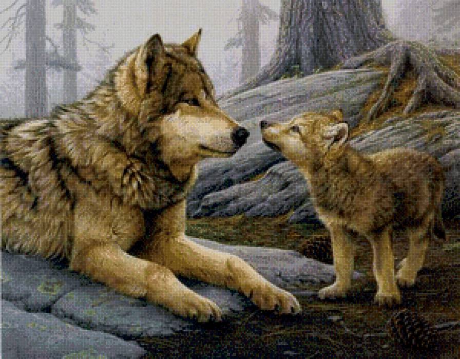 Волки - волк, животные - предпросмотр