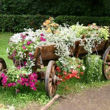 телега цветы