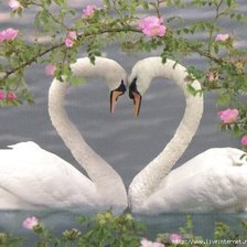 Схема вышивки «Лебеди»