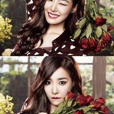 Схема вышивки «Tiffany»