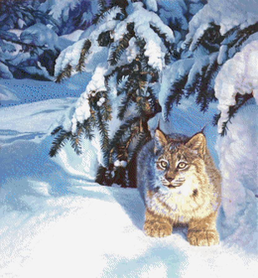 №527358 - зима, животные - предпросмотр