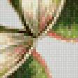 Предпросмотр схемы вышивки «Лотосы» (№527375)