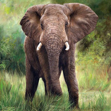 Схема вышивки «слон»