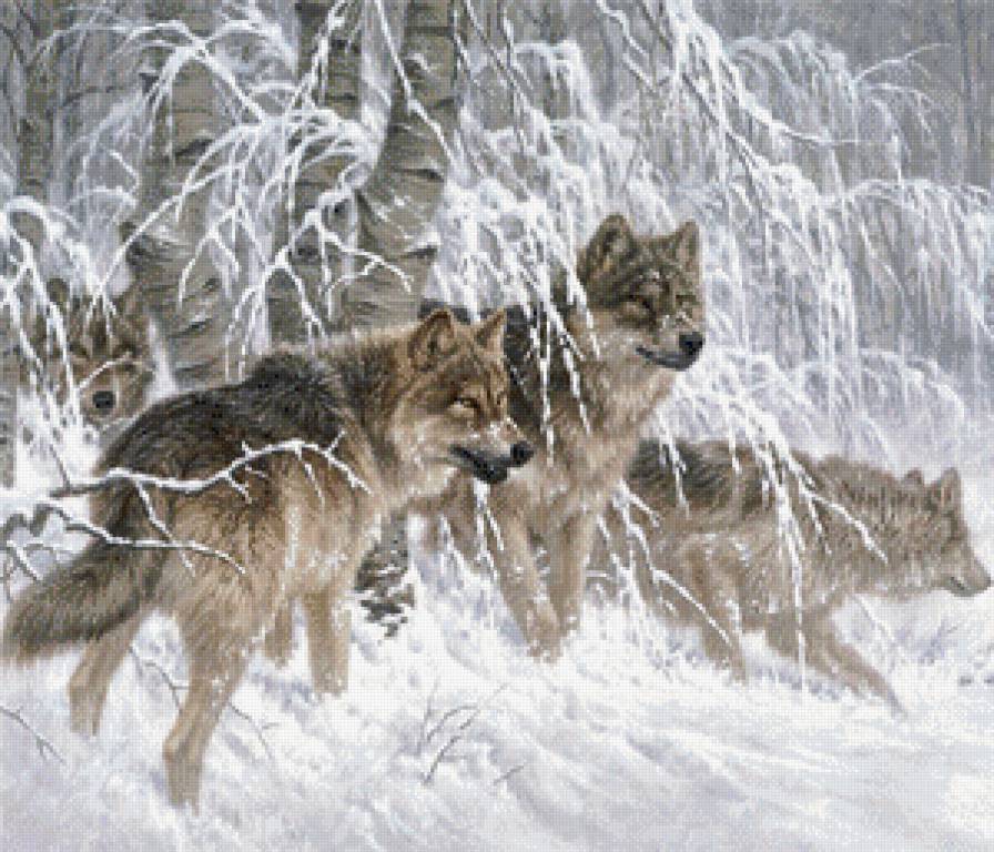 №527405 - животные, волки, зима - предпросмотр
