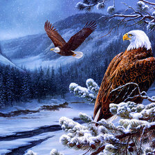 Схема вышивки «царь птица»