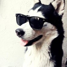 Схема вышивки «№527419»