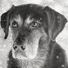 Схема вышивки «Верный друг»