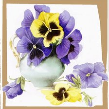 Схема вышивки «Анютины Глазки»