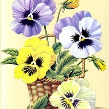 Схема вышивки «Анютины Глазки»