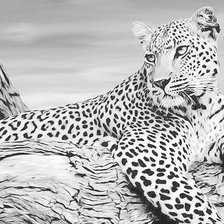 Схема вышивки «Леопард»