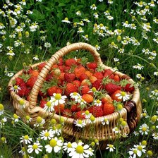 Схема вышивки «серия "кухня"»