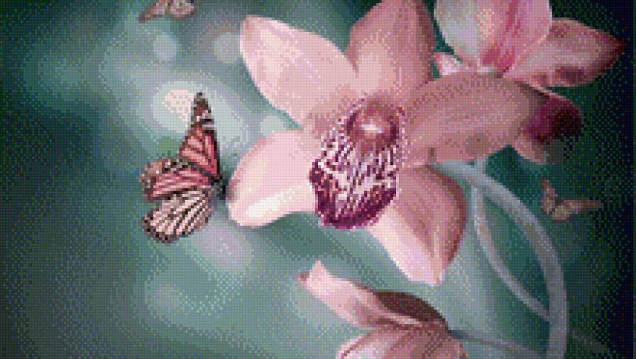 цветок - насекомые, цветы - предпросмотр