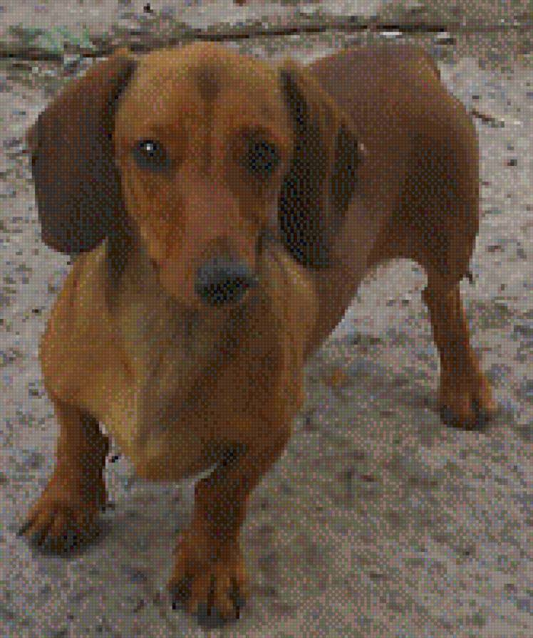 лаки - предпросмотр