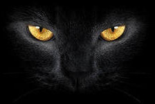 Схема вышивки «жёлтые глаза»