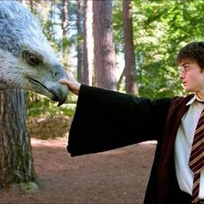 Схема вышивки «Гарри и Клювокрыл»