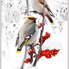 Схема вышивки «Zima»