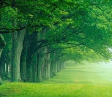 Схема вышивки «№528141»