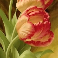 Схема вышивки «Тюльпаны»