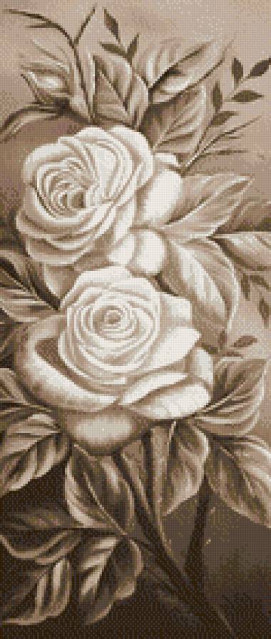 Розы - монохром, розы, цветы, сепия - предпросмотр