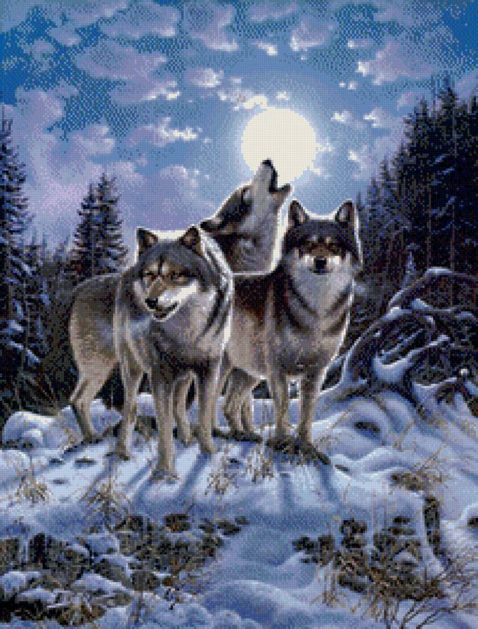 песня - волки, ночь - предпросмотр