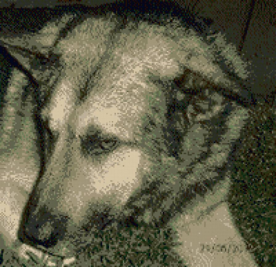 Пес - собаки, животные - предпросмотр