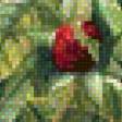 Предпросмотр схемы вышивки «Аромат роз» (№528355)