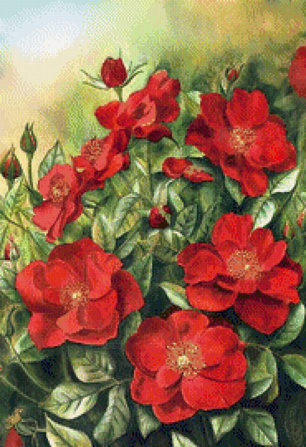 Аромат роз - картины, цветы, живопись, розы - предпросмотр