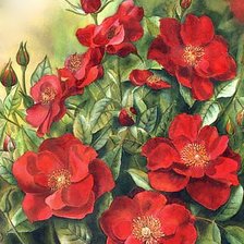 Схема вышивки «Аромат роз»