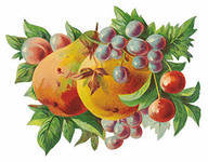 Схема вышивки «натюрморт»