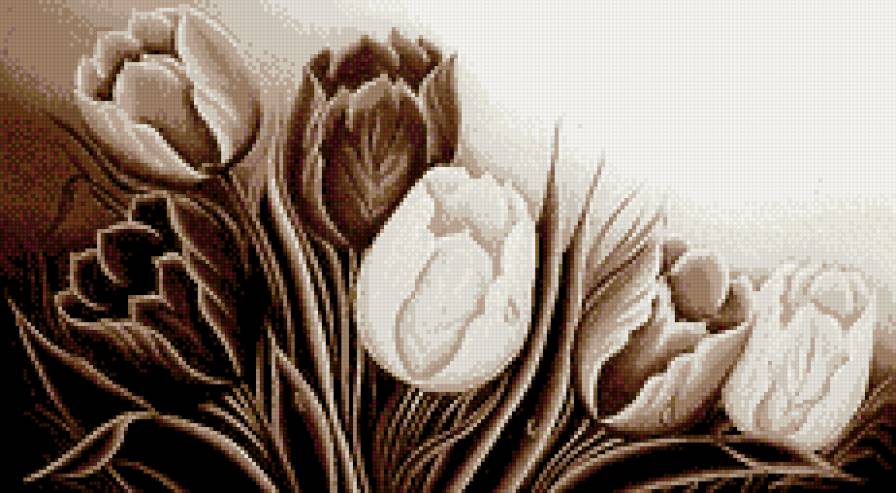 Тюльпаны - монохром, тюльпаны, сепия, цветы - предпросмотр