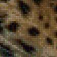 Предпросмотр схемы вышивки «Леопард» (№528679)
