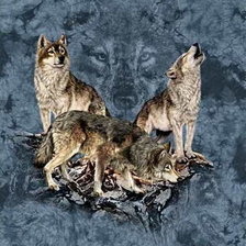 Схема вышивки «Волки»