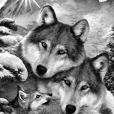 Схема вышивки «Волки»