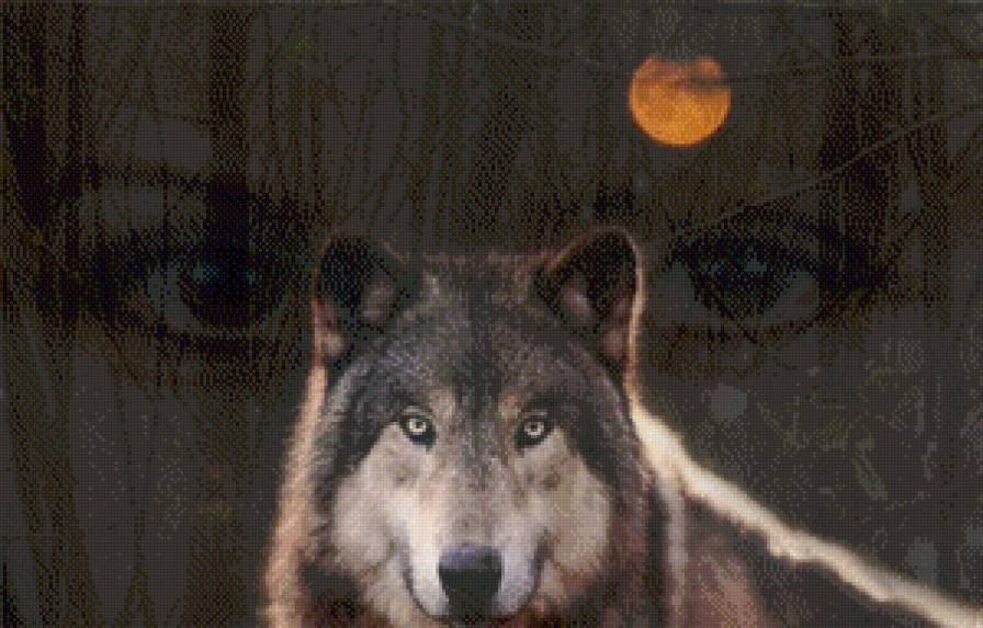одинокая волчица - волчица, луна, ночь - предпросмотр