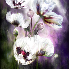 Схема вышивки «картина»