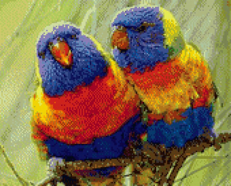 парочка попугайчиков - предпросмотр