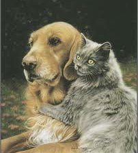 Схема вышивки «дружба»