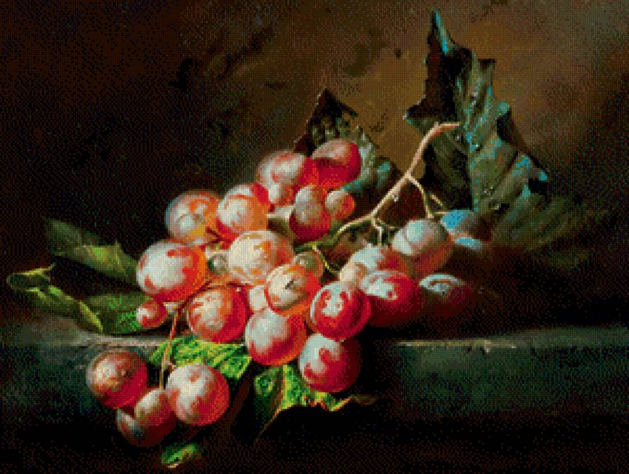 картина А.Антонова - живопись, фрукты, виноград - предпросмотр