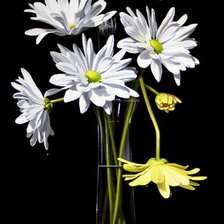 Схема вышивки «герберы»