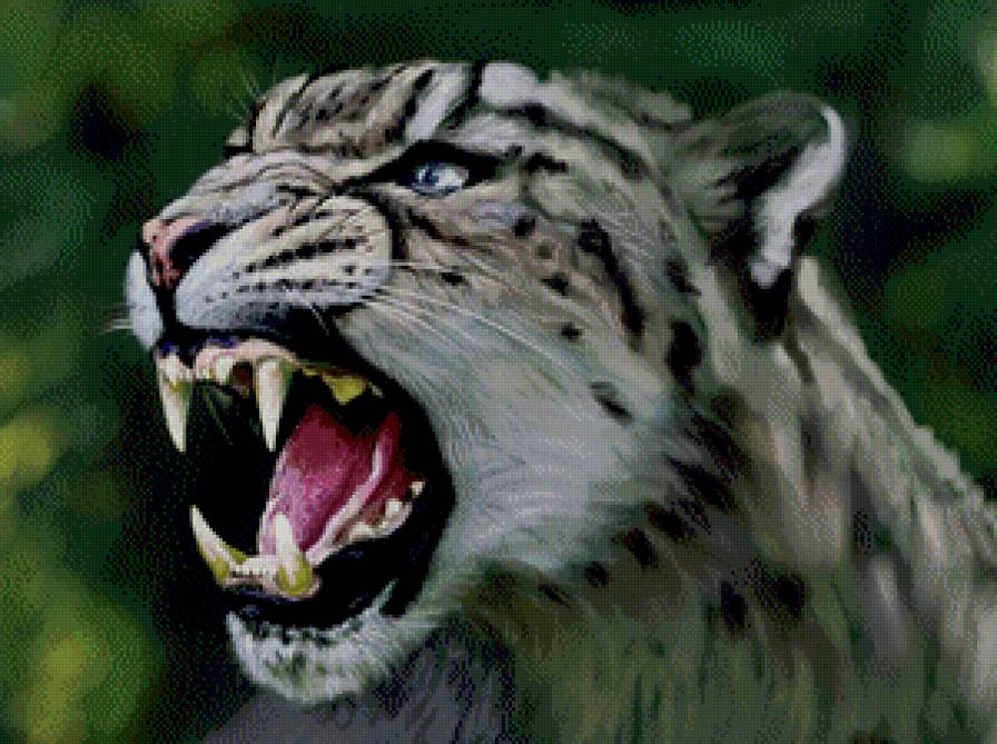 хищник - барс, оскал, рык, живопись - предпросмотр